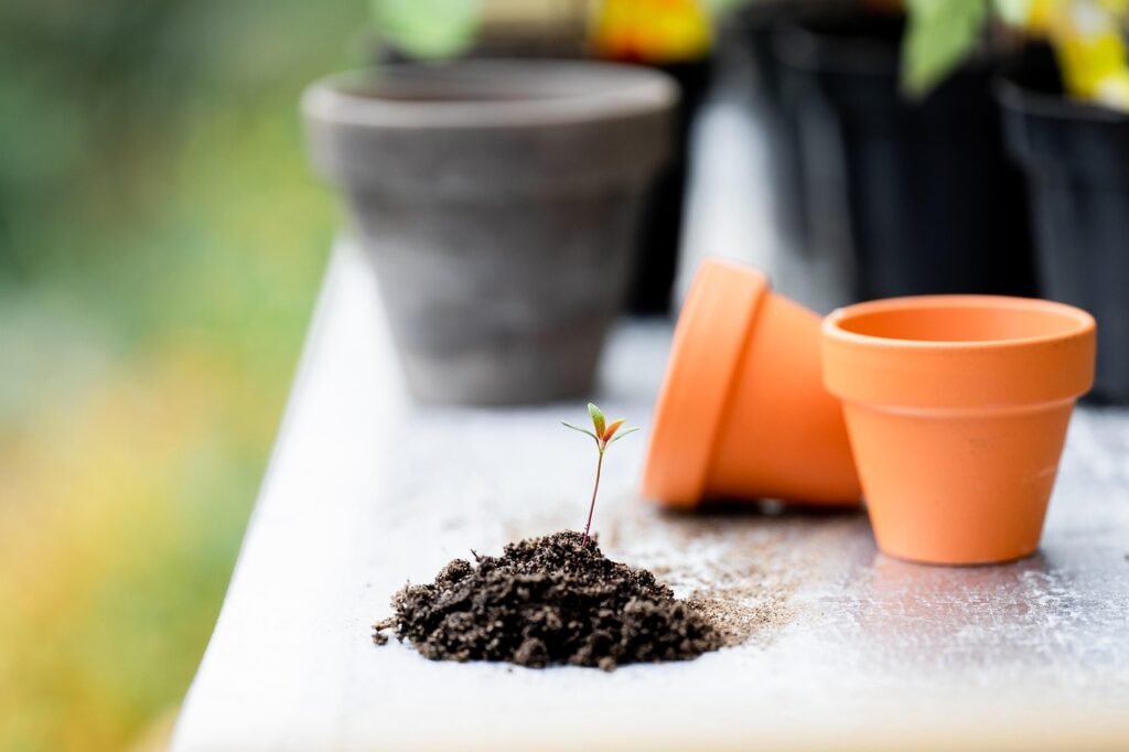 De Lente is Weer Begonnen bij Tuincentrum